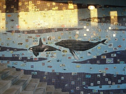 本校引以為傲的瓷磚拼貼畫，呈現了豐富的海洋生物，並蘊含了海底世界的生命力。